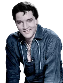 😉 Elvis Presley Elvis, Elvis Presley, ca sĩ, nhạc sĩ, biểu tượng telegram sticker