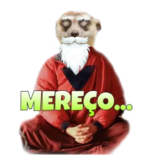 😑 MEREÇO... suricate, meditação, zen, pacífico, merecido, calmo telegram sticker