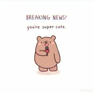 🌿 BREAKING NEWS! 
you're super cute. Bär, niedlich, Nachrichten, positiv, Kompliment, Cartoon, Illustration whatsapp sticker
