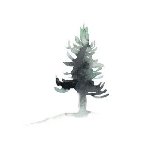 🌫 나무, 자연, 수채화, 식물, 침엽수, 소나무 telegram sticker