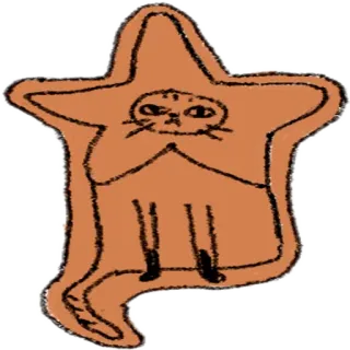 ✨ chat, étoile, animal, dessin animé, autocollant, mignon telegram sticker