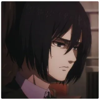 😁 Mikasa Ackerman Attack on Titan 动漫, 角色, 三笠·阿克曼, 进击的巨人, 漫画 whatsapp sticker