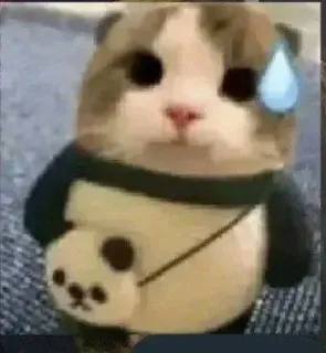 😅 gato, lindo, pegatina, animal, meme telegram sticker