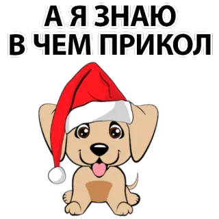 😝 А Я ЗНАЮ
ВЧЕМ ПРИКОЛ dog, christmas, new year, puppy, winter, holiday, festive telegram sticker