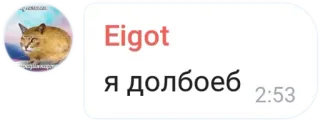 🤪 Eigot
я долбоеб кот, мем, русский, чат telegram sticker