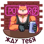 @tgsticker Королевская Битва стикеров telegram stickers