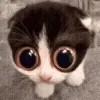 😳