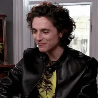 📯 Timothée Chalamet acteur, célébrité, portrait, homme, Timothée Chalamet telegram sticker