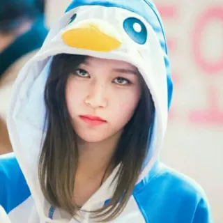 🐧 pingouin, sweat à capuche, femme, mignon, costume d'animal, K-pop, Mina telegram sticker