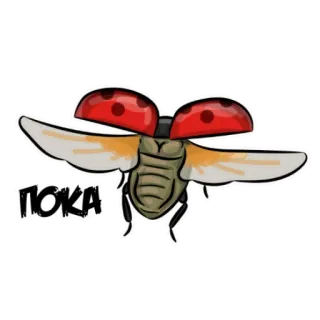 🤚 ПОКА inseto, joaninha, voando, desenho animado, russo, adeus telegram sticker