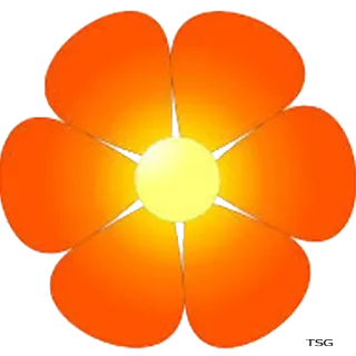 🌸 flor, laranja, amarelo, pétala, natureza, floral, planta telegram sticker