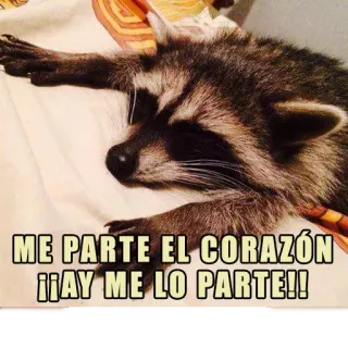 💔 ME PARTE EL CORAZÓN ¡¡AY ME LO PARTE!! rakun, sedih, meme, patah hati, imut, binatang whatsapp sticker