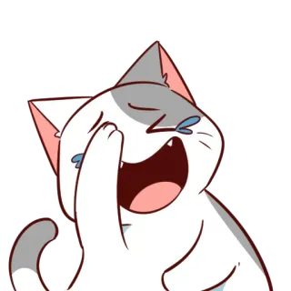 😂 แมว, หัวเราะ, ร้องไห้, อิโมจิ, ตลก, น่ารัก, มีม telegram sticker