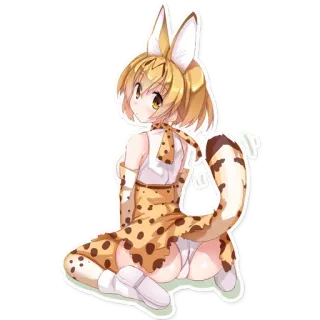 🐯 อนิเมะ, แมว, ผู้หญิง, เซอร์วัล telegram sticker
