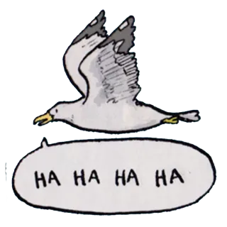 😂 HA HA HA HA bird, seagull, cartoon, laughing, funny telegram sticker