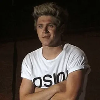🌙 Niall Horan OSION Niall Horan, One Direction, Sänger, Promi, Person, Mann telegram sticker