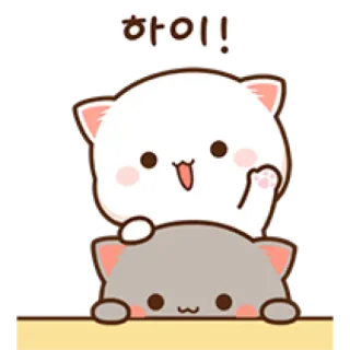 🙌 하이! katzen, süß, tiere, gruß, hallo telegram sticker