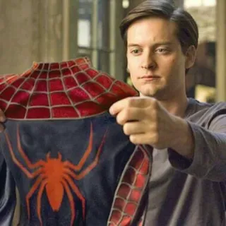 🕸 Spider-Man Homem-Aranha, super-herói, Tobey Maguire, Marvel, HQ, roupa whatsapp sticker