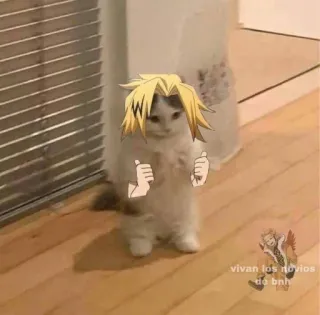 🔌 Denki Kaminari My Hero Academia vivan los novios de bnh My Hero Academia, Denki Kaminari, anime, cat, thumbs up, sticker telegram sticker