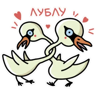 ❤️ ЛУБЛУ 백조, 사랑, 하트, 귀여운, 새, 애정, 동물 telegram sticker