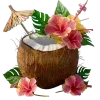 🥥