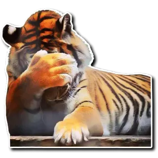 😙 tiger, animal, big cat, mammal, wildlife, portrait telegram sticker