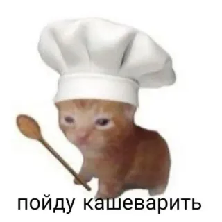 🤲 пойду кашеварить chat, chef, cuisine, mignon, animal telegram sticker