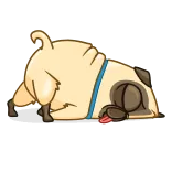 💤