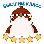 🌟 bird, animal, cute, funny, stars, cartoon whatsapp sticker
