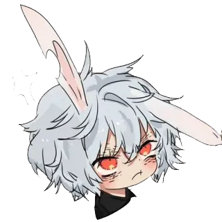🐰 whatsapp sticker