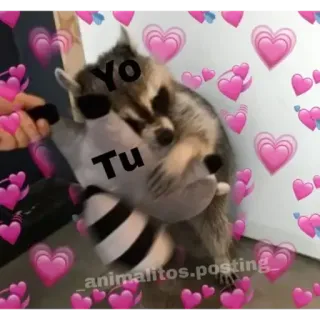 💖 Yo
Tu Waschbär, Liebe, Herzen, süß, Tier, Umarmung, spanisch telegram sticker