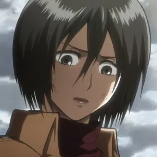 😕 Mikasa Ackerman Attack on Titan Anime, Ataque a los Titanes, Mikasa, Mikasa Ackerman, AOT, Sticker telegram sticker
