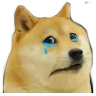 😢 Doge perro, meme, llorando, triste, animal, internet telegram sticker