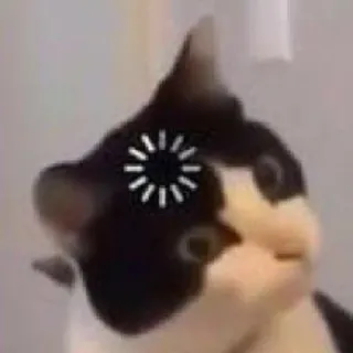 😮 chat, chargement, internet, mème, drôle, animal telegram sticker