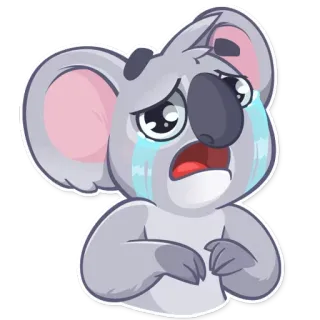 😭 koala, pleurer, triste, animal, dessin animé, émotion telegram sticker