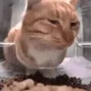 😏