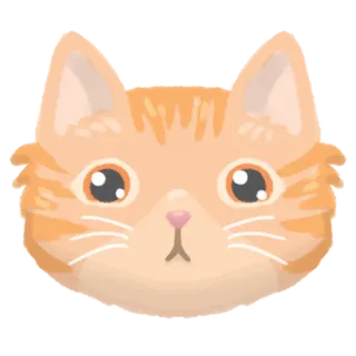 😐 gatto, gattino, animale, carino, animale domestico, arancione, domestico telegram sticker
