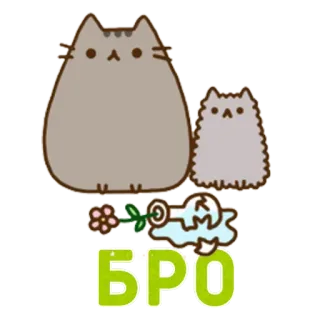 ✊ БРО кот, цветок, письмо в бутылке, текст, русский, мультяшный кот, друзья whatsapp sticker