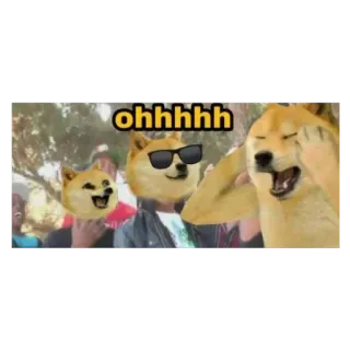😂 ohhhhh doge, mem, pies, okulary przeciwsłoneczne, humor, śmieszne telegram sticker
