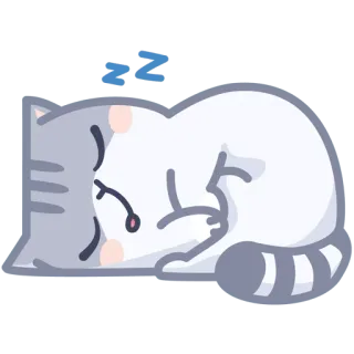 😴 ZZ gato, dormindo, fofo, animal, zz telegram sticker