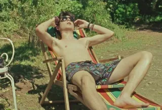🦇 Timothée Chalamet Call Me By Your Name hombre, gafas de sol, playa, verano, traje de baño, actor, película telegram sticker