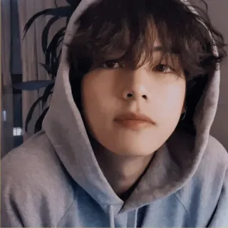 🐚 hombre, sudadera con capucha, retrato, persona, Kpop, BTS, V telegram sticker