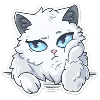 ☹️ cat, kitten, animal, cute, white, fluffy, sad, bored telegram sticker