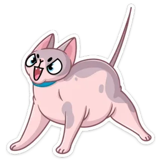 😡 gatto, sphynx, animale, adesivo, cartone animato telegram sticker