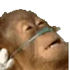 😵