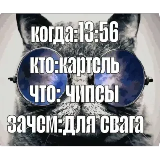 🫥 когда:13:56
кто:картель
что: чипсы
зачем:для свага chat, lunettes de soleil, cartel, chips, mème, humour telegram sticker