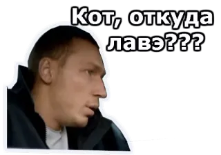 😞 Кот, откуда лавэ??? homem, russo, pergunta, dinheiro, expressão telegram sticker