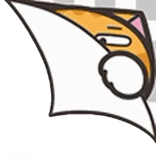 🐱