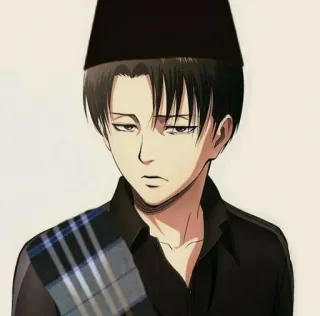 🥀 Levi Ackerman Attack on Titan Anime, Charakter, Portrait, Manga, Illustration telegram sticker
