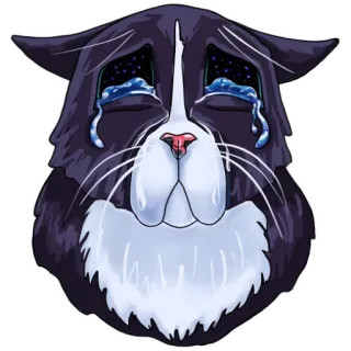 😢 gatto, piangere, triste, lacrime, animale, emozione telegram sticker